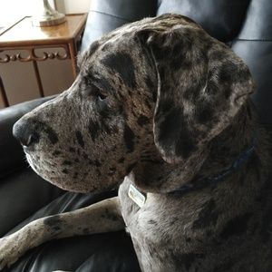 Meet your Posher, Leanne